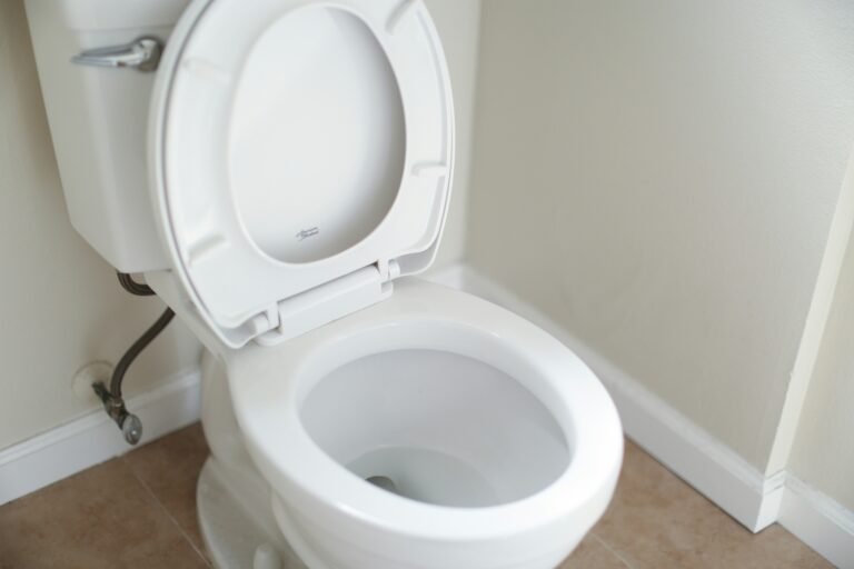 Toilet Won't Flush